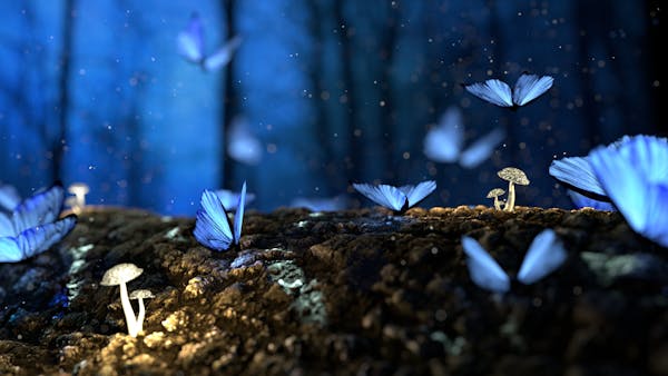 Meditation Myths